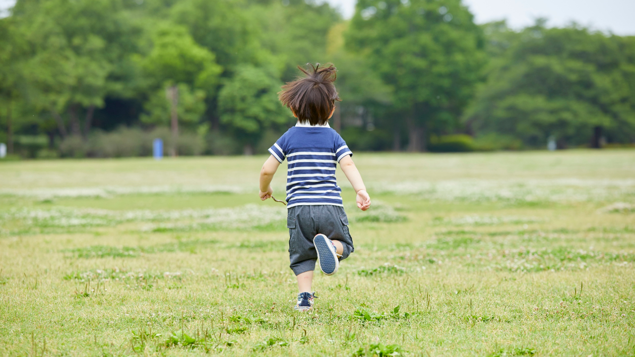 公園